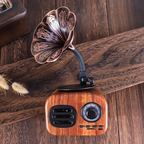bluetooth-gramophone