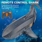 rc-shark