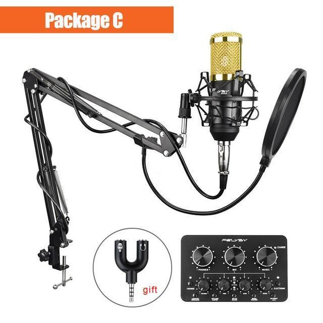 Streameo B800 Professional Condenser Microphone Set